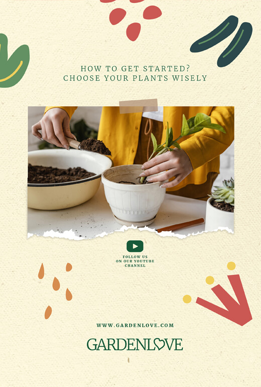 Book Demo 12 - Imagem 2